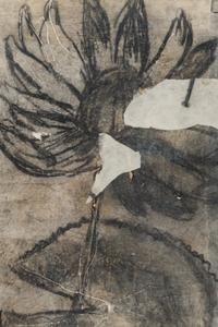 Lily Lotus