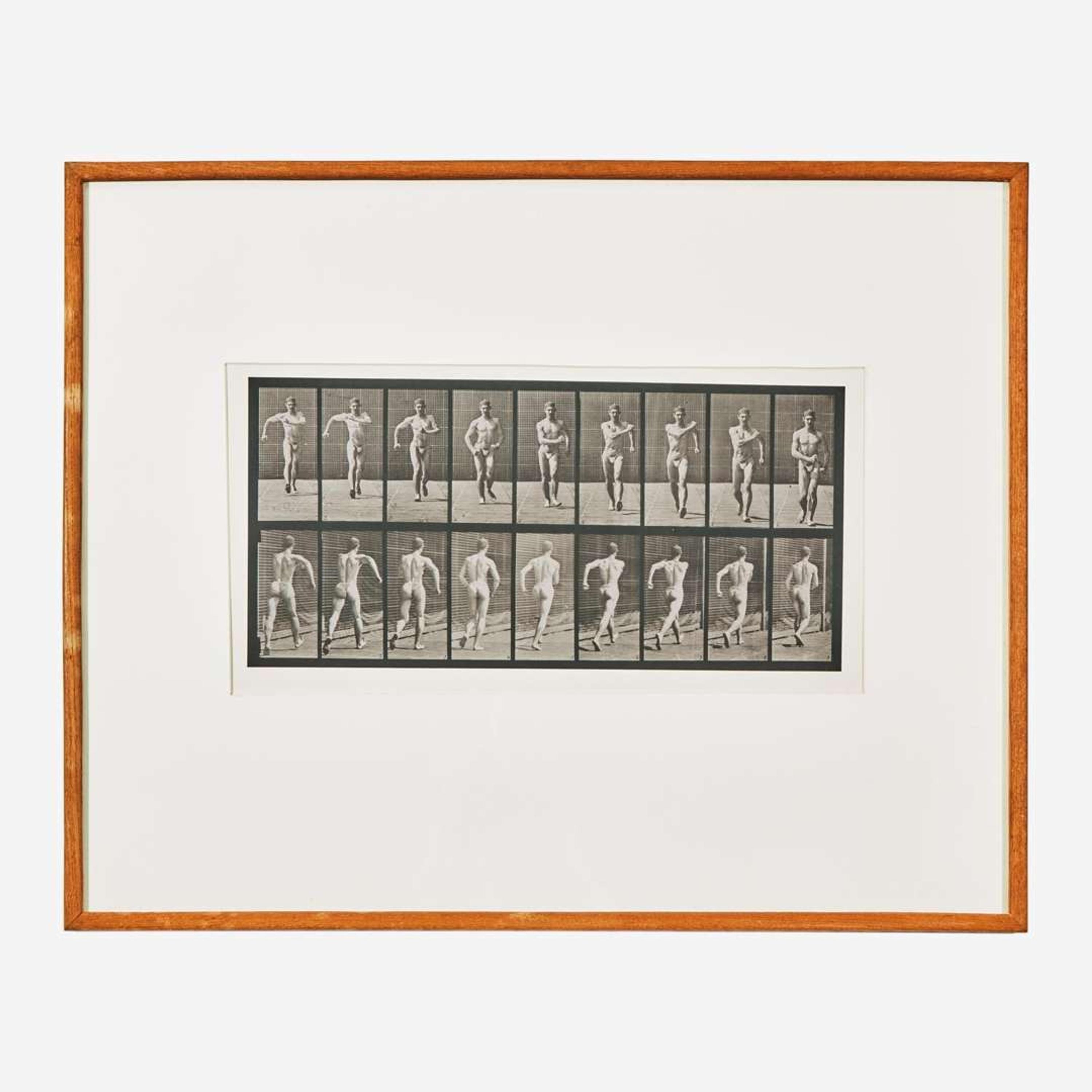 [Photography] Muybridge, Eadweard Animal Locomotion. Plate 3 (Man Walking)