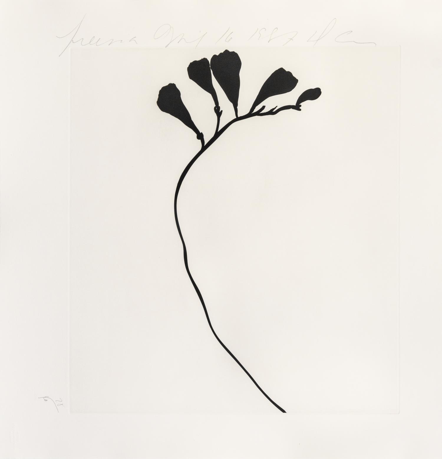 Donald Sultan, (American, b. 1951), Black Freesias, 1987 (portfolio of 6)