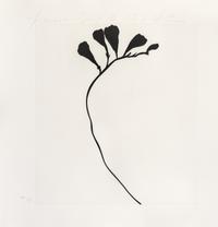Donald Sultan, (American, b. 1951), Black Freesias, 1987 (portfolio of 6)