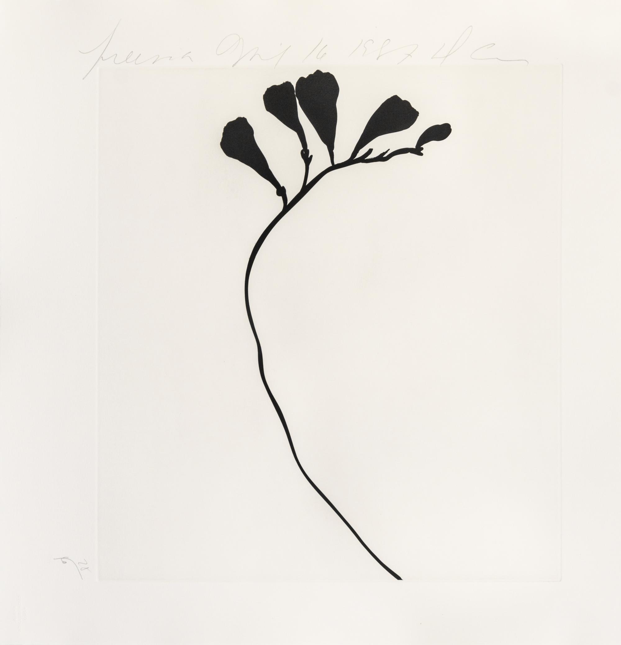Donald Sultan, (American, b. 1951), Black Freesias, 1987 (portfolio of 6)