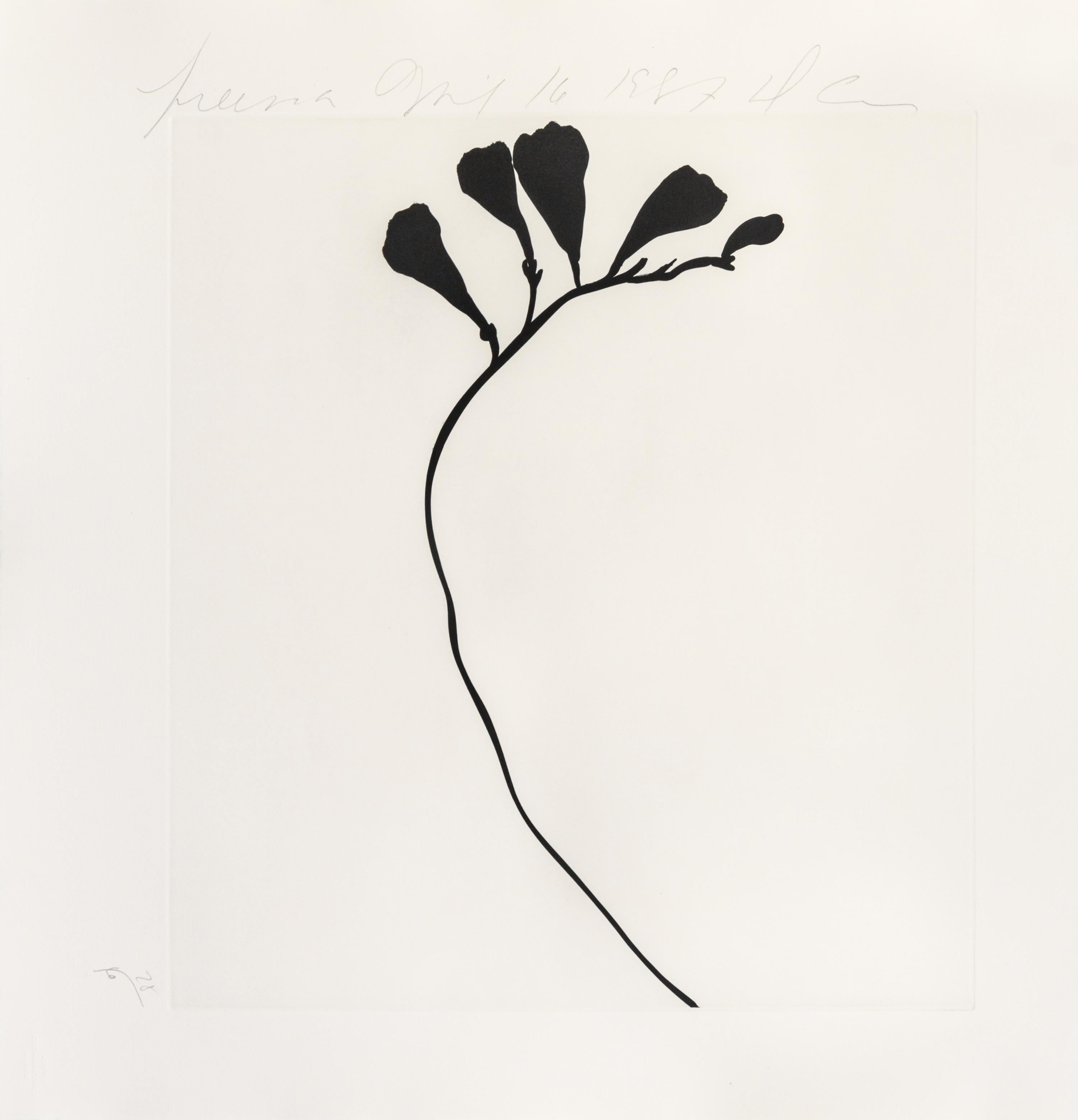 Donald Sultan, (American, b. 1951), Black Freesias, 1987 (portfolio of 6)