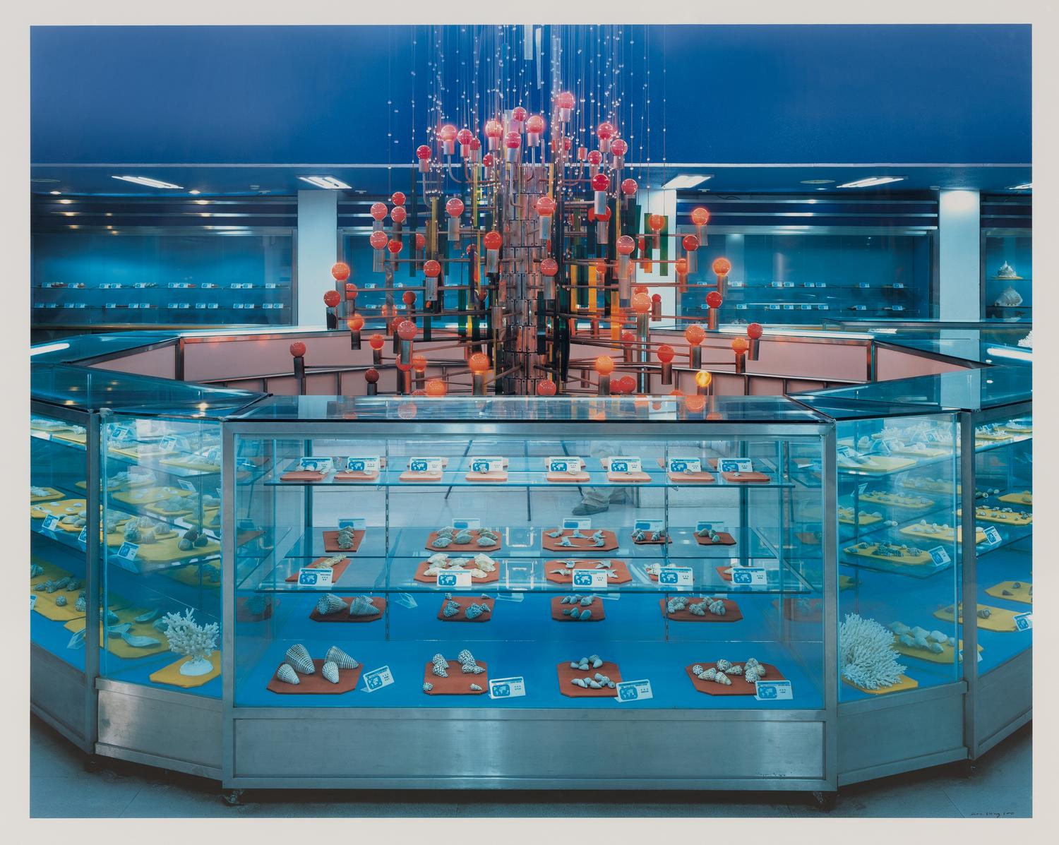 Specimen Room , 2005