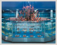 Specimen Room , 2005