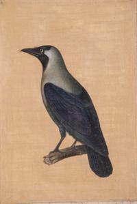 Seven Islamic Paintings