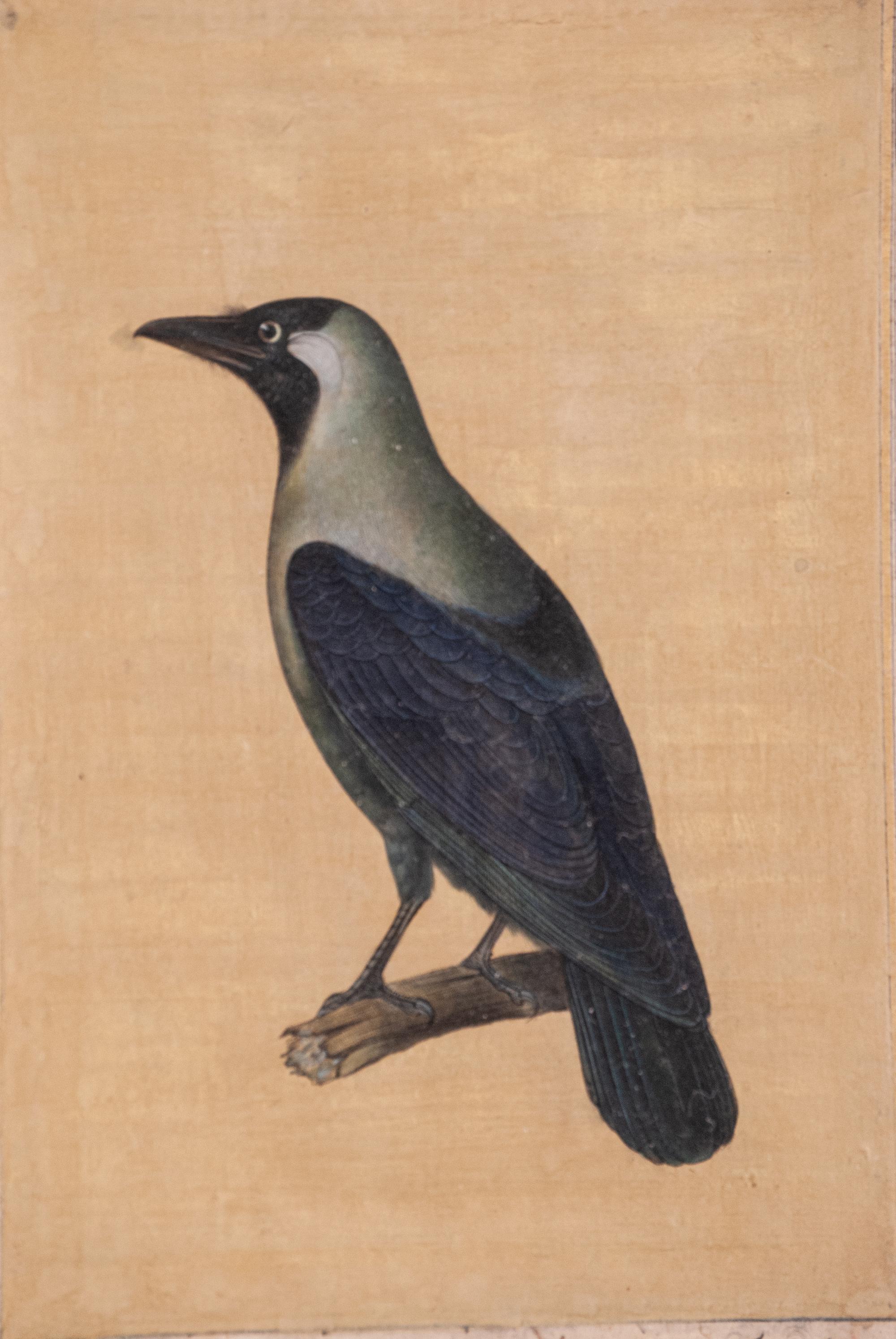 Seven Islamic Paintings