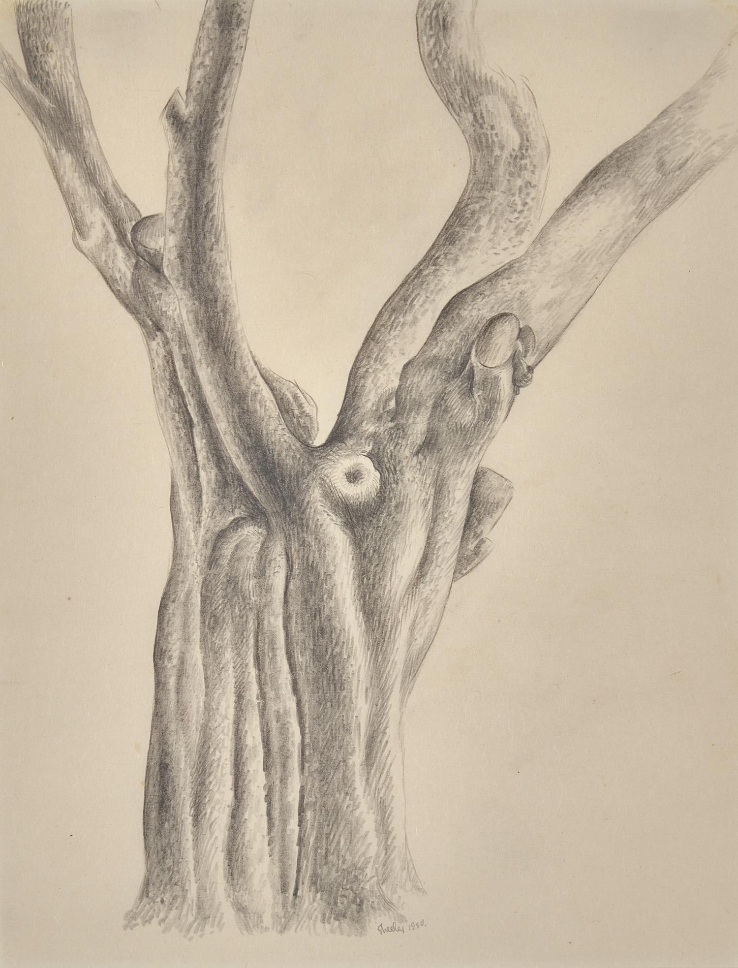 Tree, 1920