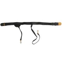 Late 19th Century US Naval Officer's Sword Belt & Plate