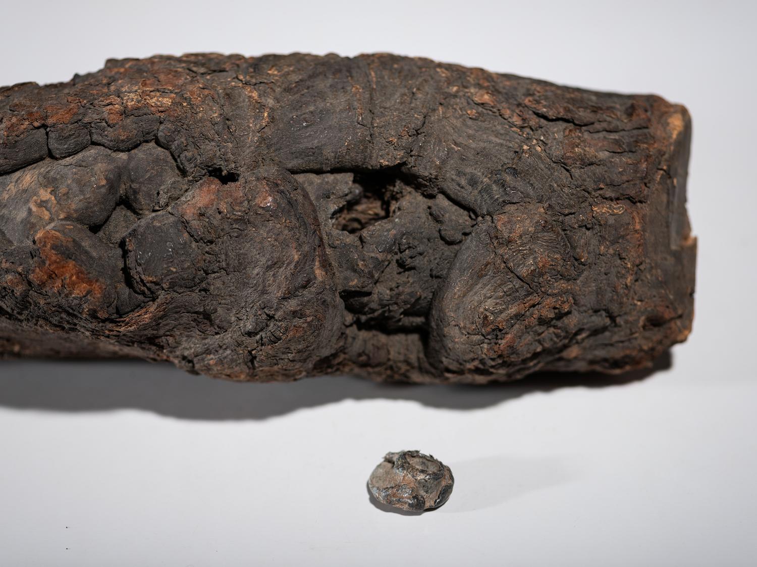 [CIVIL WAR]. Civil War-era log relic with lead shot.