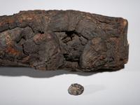 [CIVIL WAR]. Civil War-era log relic with lead shot.
