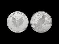 [PRIVATE ISSUE] Two 1-Pound Silver Rounds