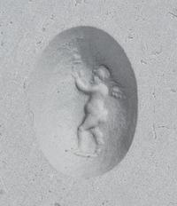A Roman Banded Agate Ring Stone with the Infant Eros Holding a Butterfly — Set in a silver ring