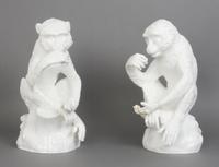 A Pair of Meissen Blanc de Chine Figures of Monkeys, Height 18 inches.