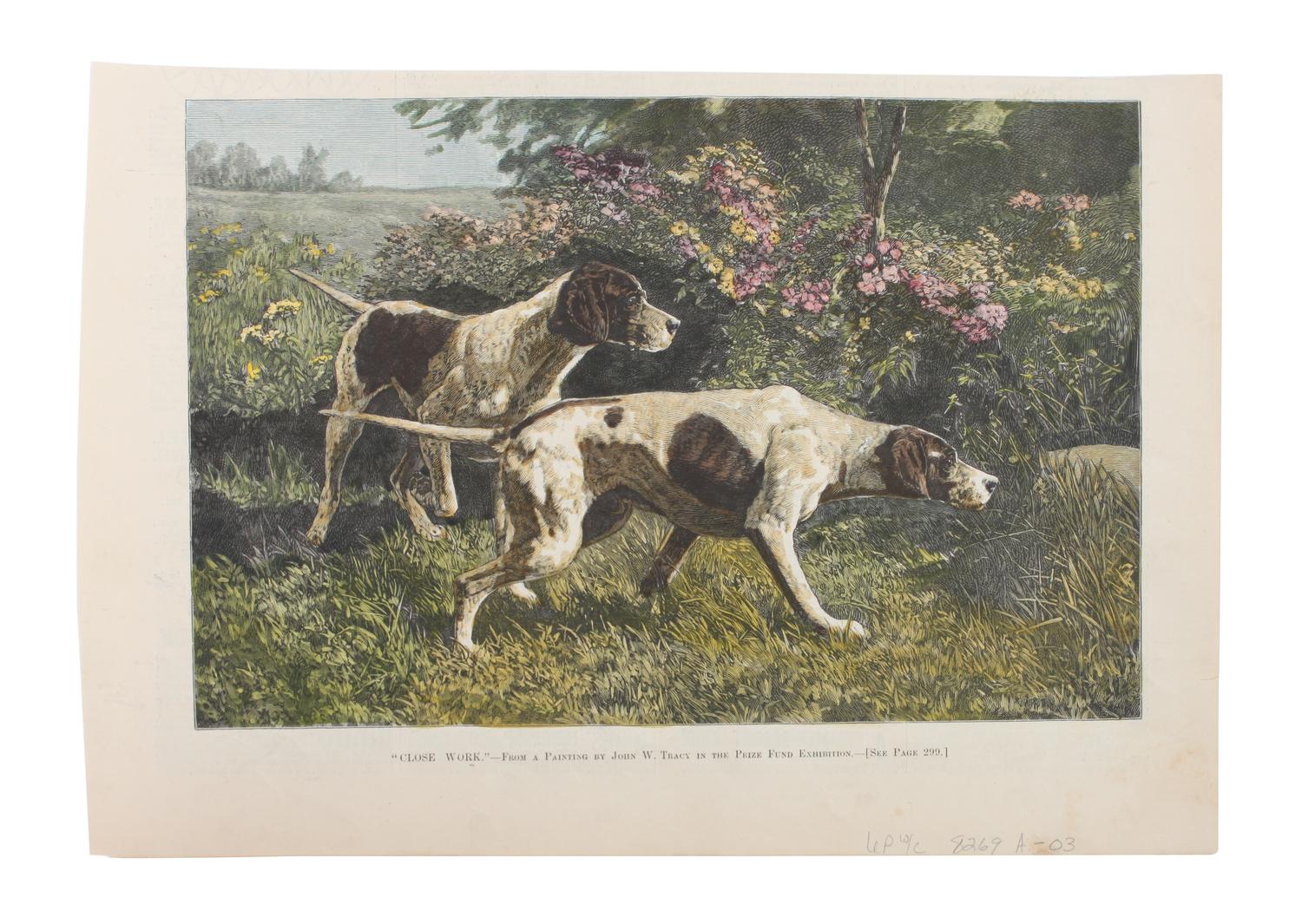 Eleven Hand Colored Dog Prints Height 71/2 x 9 inches — 19TH/20TH CENTURY