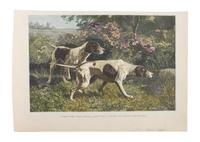Eleven Hand Colored Dog Prints Height 71/2 x 9 inches — 19TH/20TH CENTURY