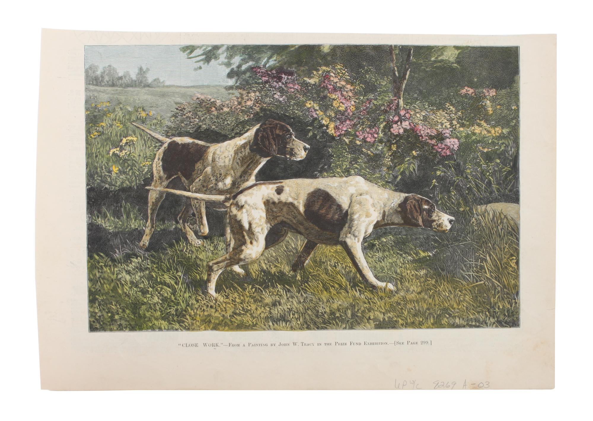Eleven Hand Colored Dog Prints Height 71/2 x 9 inches — 19TH/20TH CENTURY
