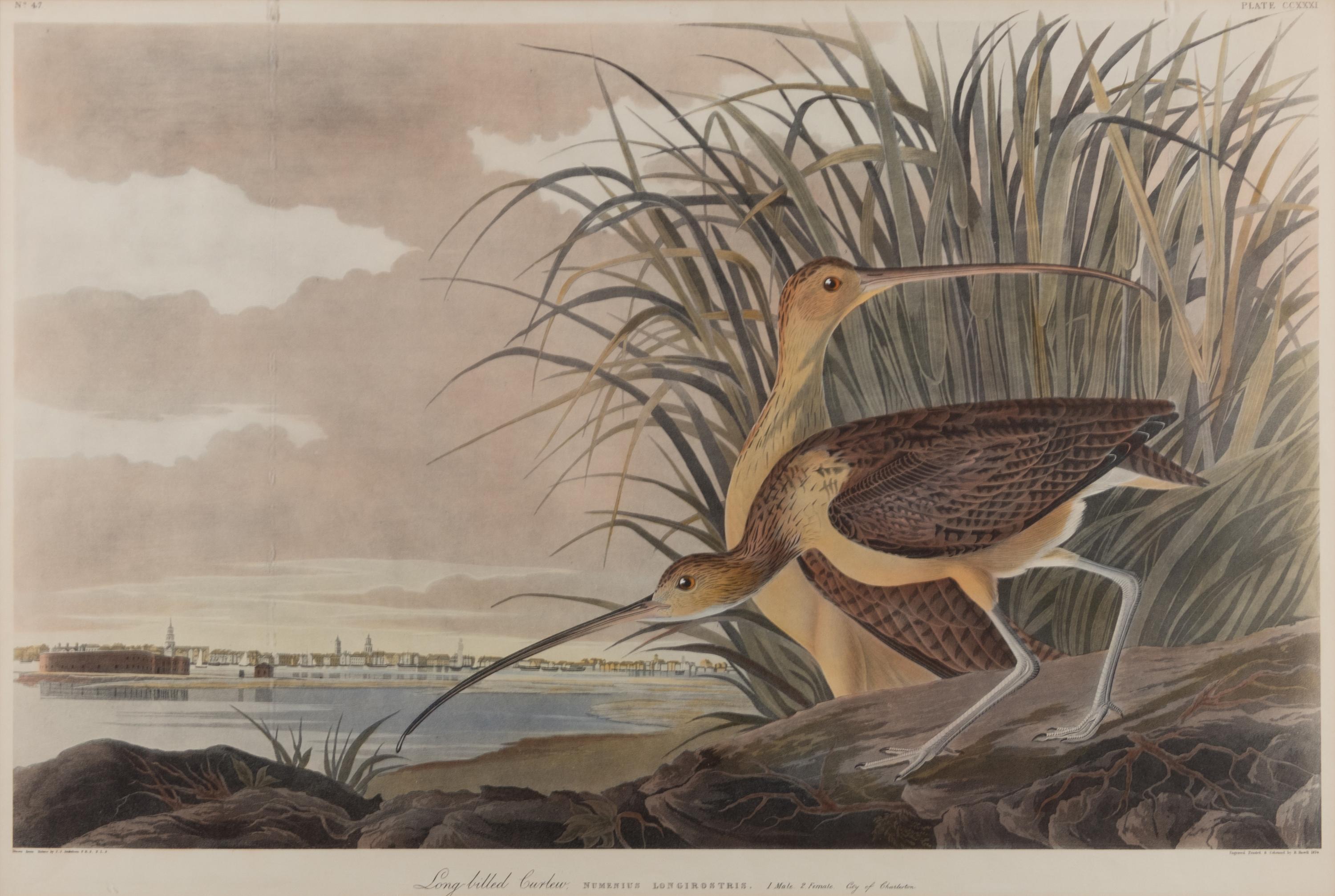 After John James Audubon