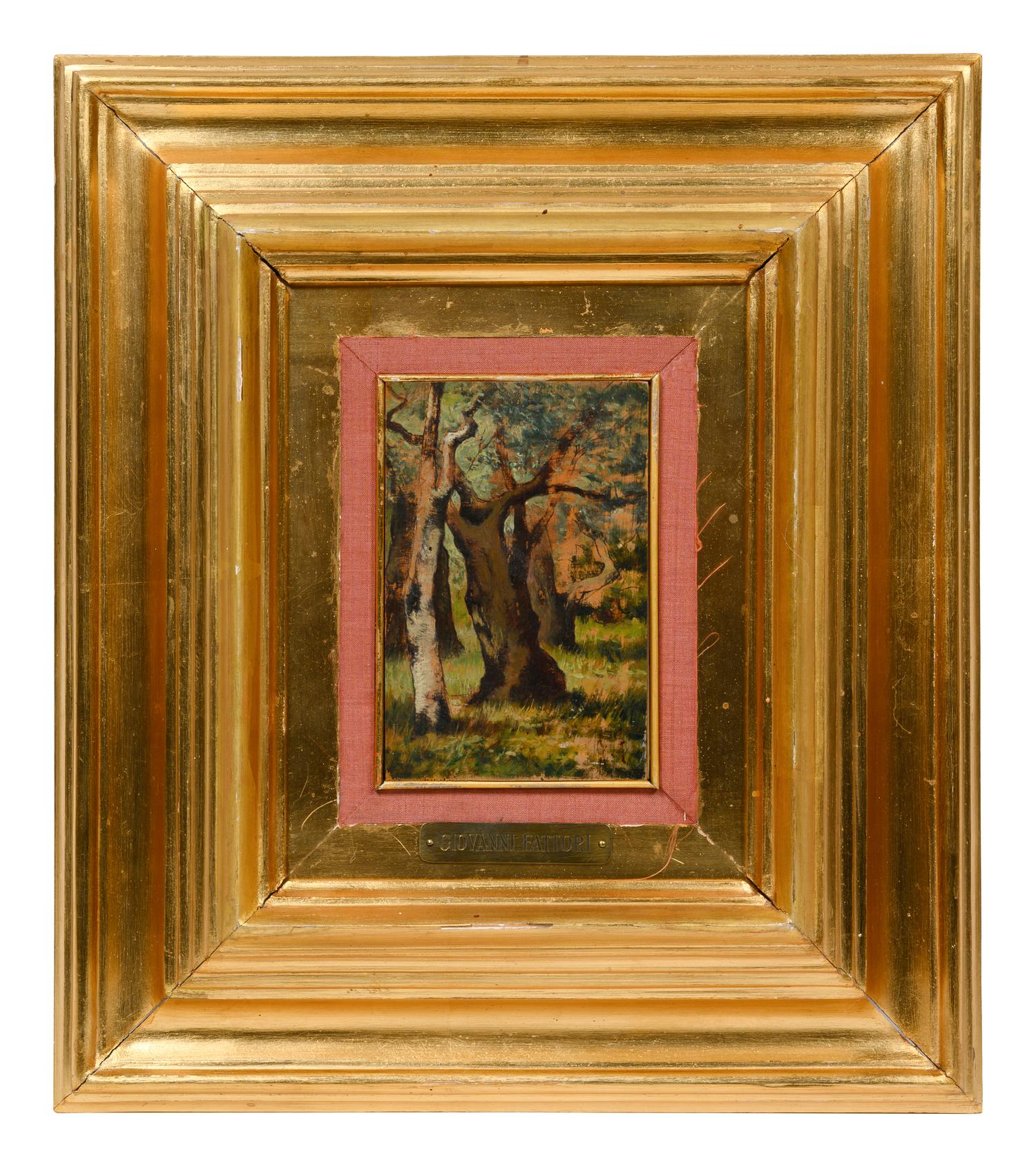 Bozzetto della lecceto