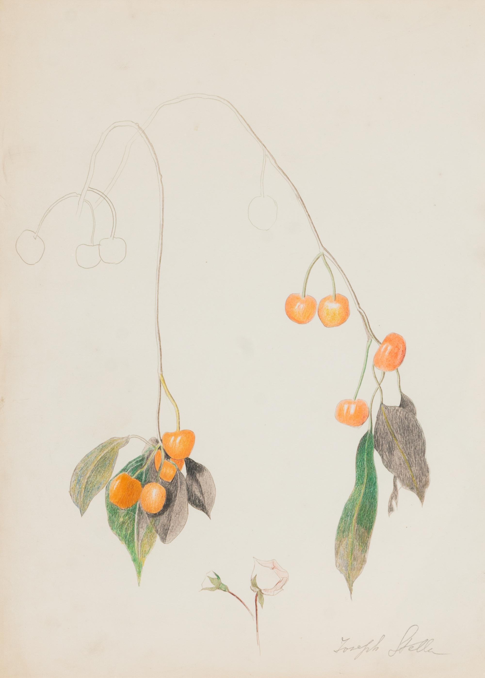 Cherry Branch with Two Roses