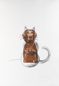 Ray Cat
