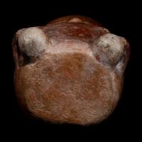 A Calima Redware Anthropomorphic Alcarraza