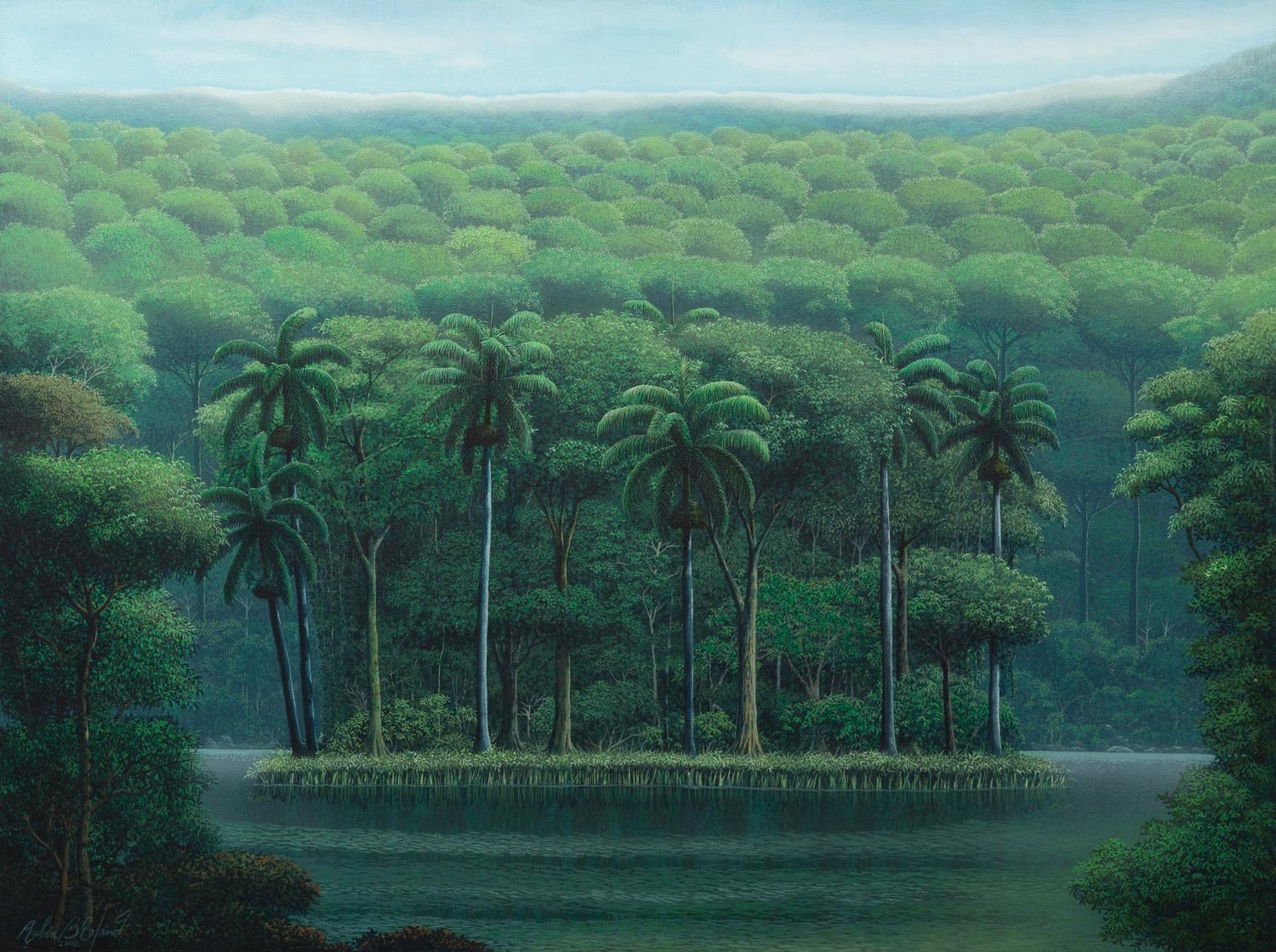 Mogote Dentro del lago gris , 2009