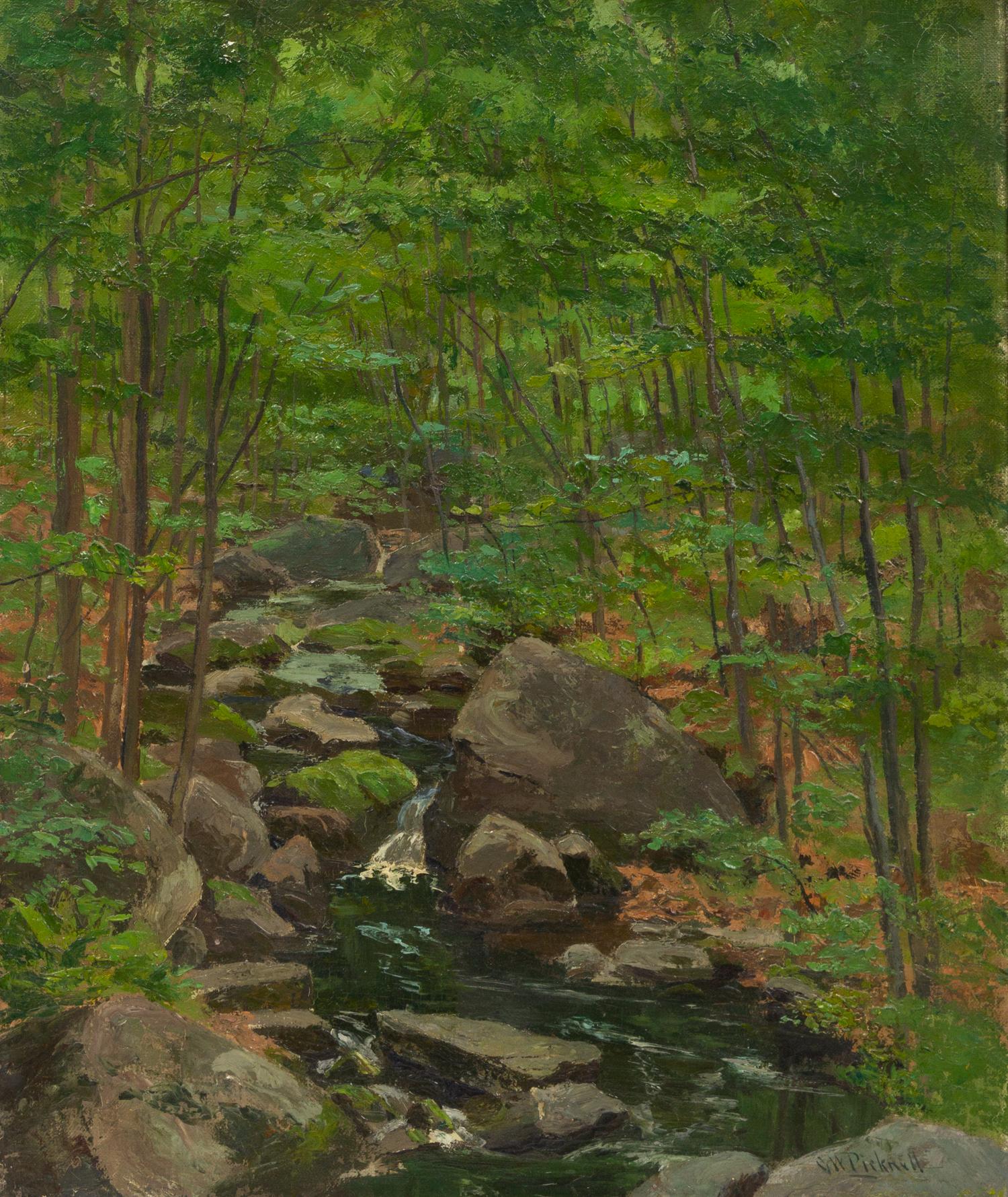 Stream in Summer