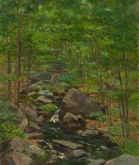 Stream in Summer