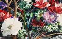 Anemones with Checks I , 1979