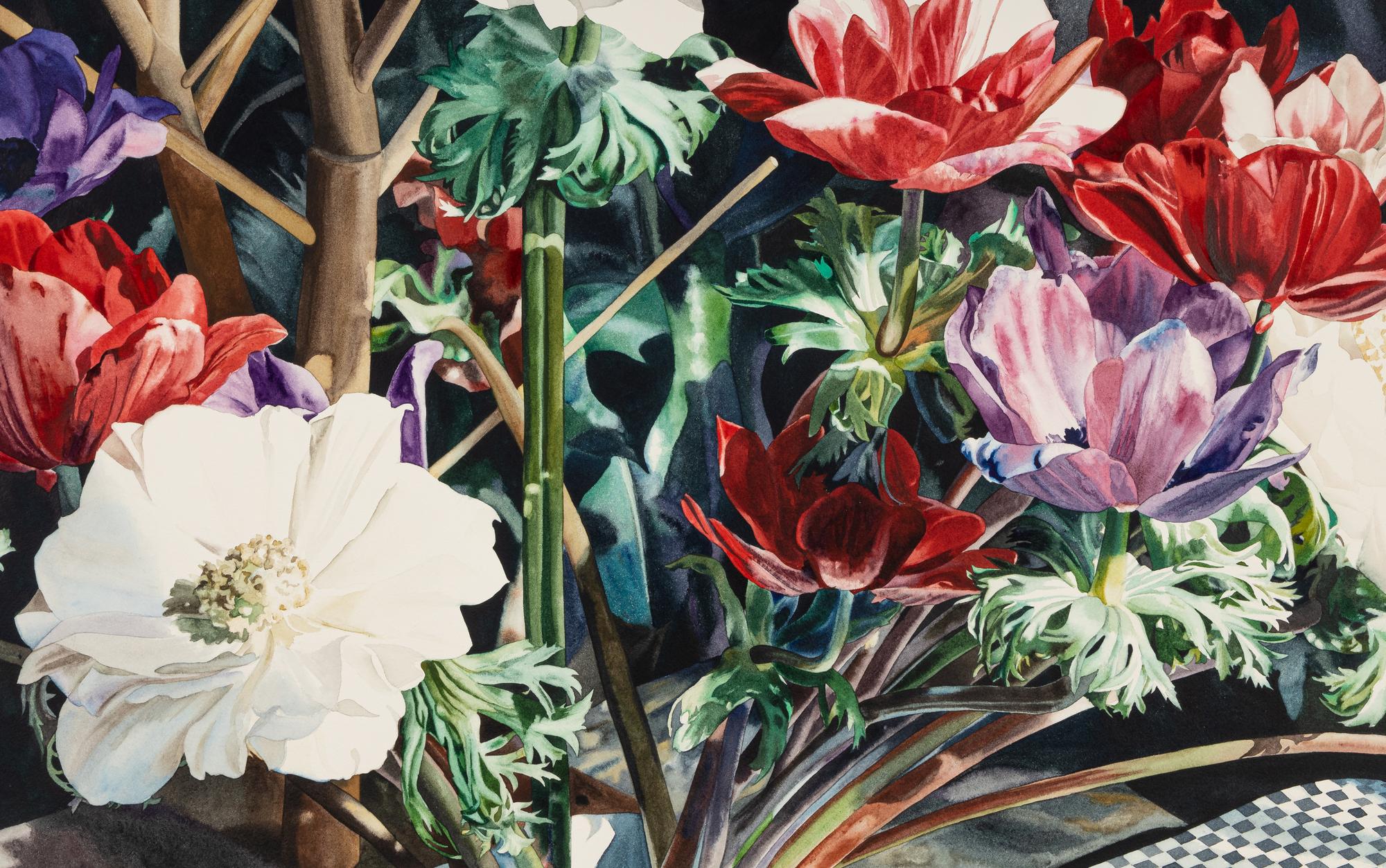 Anemones with Checks I , 1979