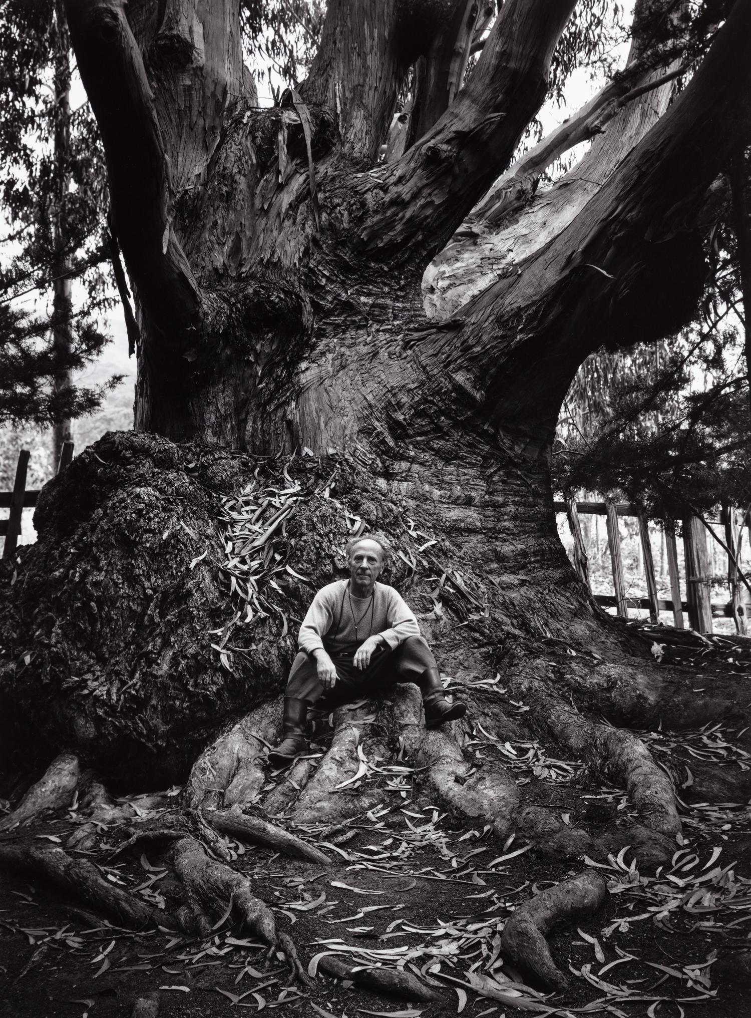 Ansel Adams (1902-1984) Portfolio VI, 1974