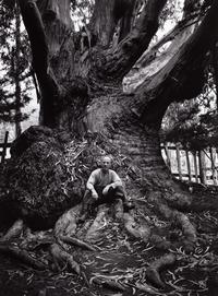 Ansel Adams (1902-1984) Portfolio VI, 1974