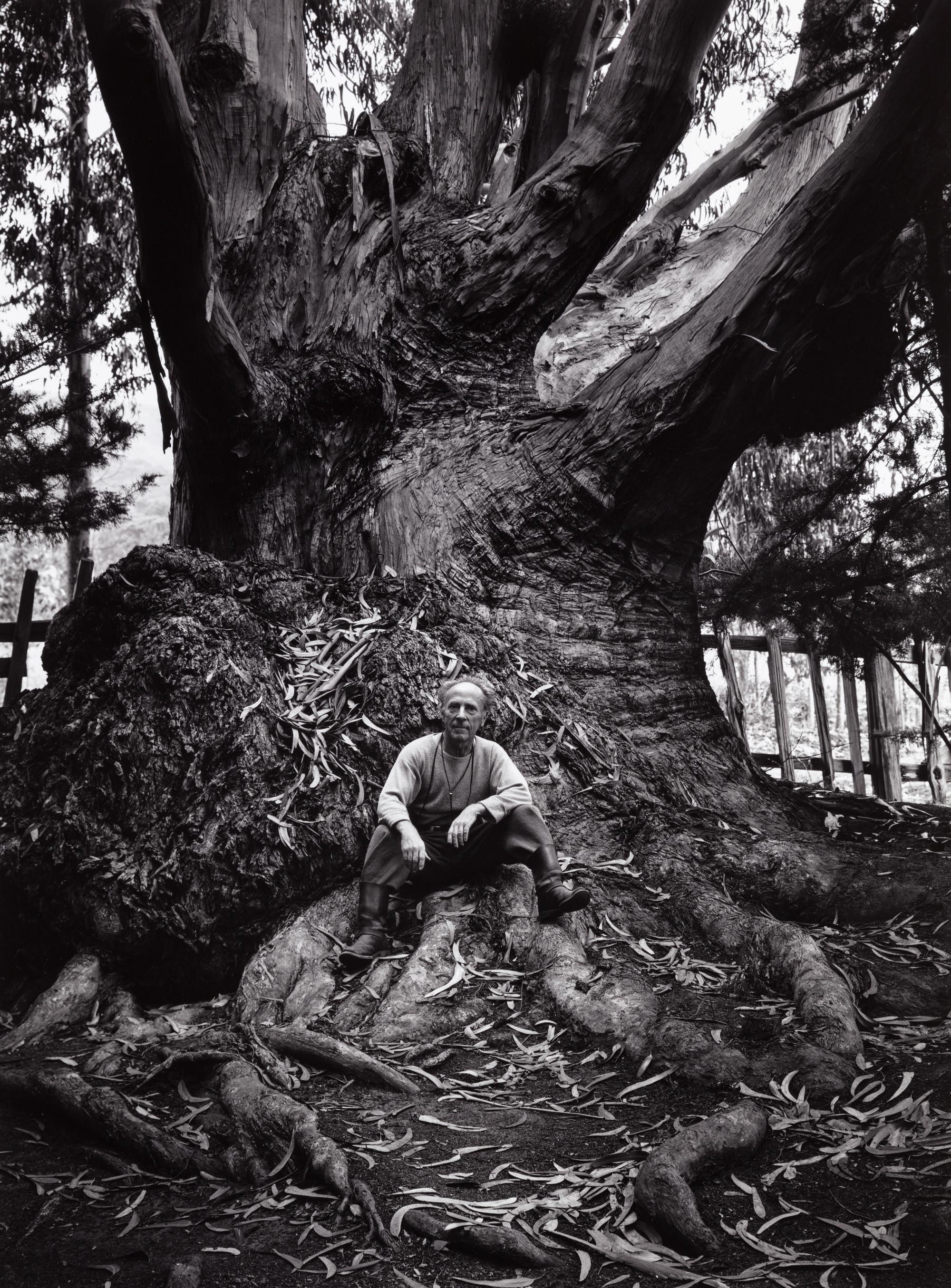 Ansel Adams (1902-1984) Portfolio VI, 1974