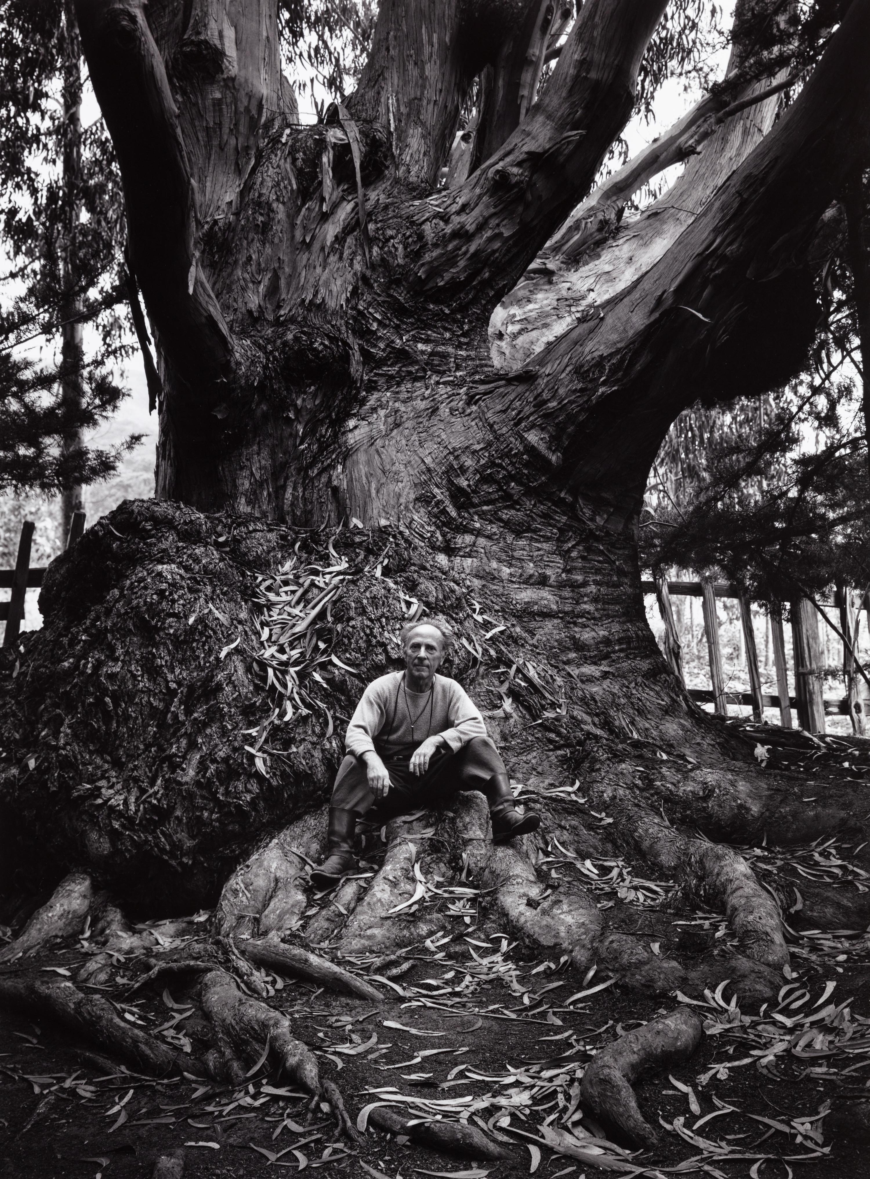 Ansel Adams (1902-1984) Portfolio VI, 1974