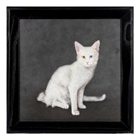 Deaf Cat