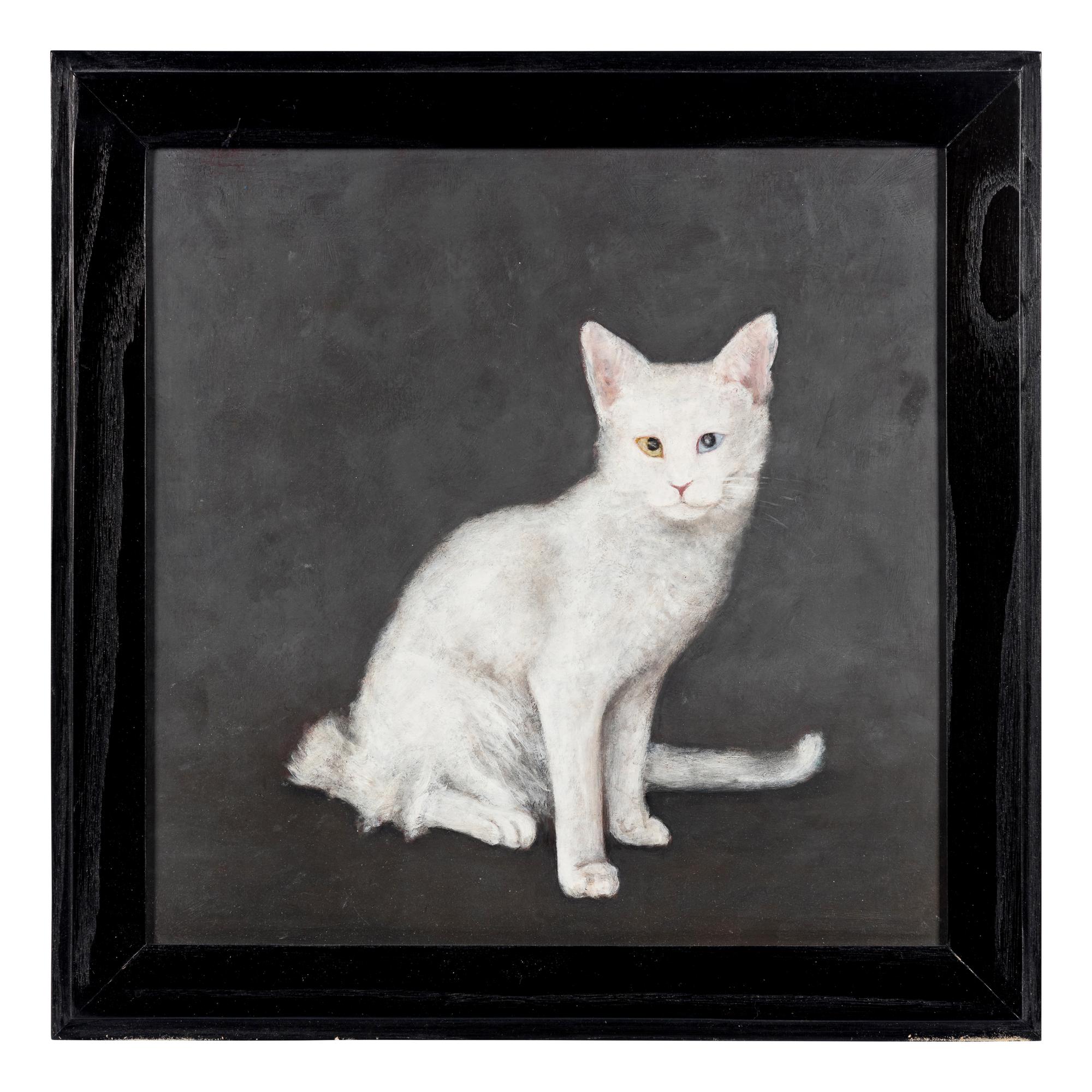 Deaf Cat