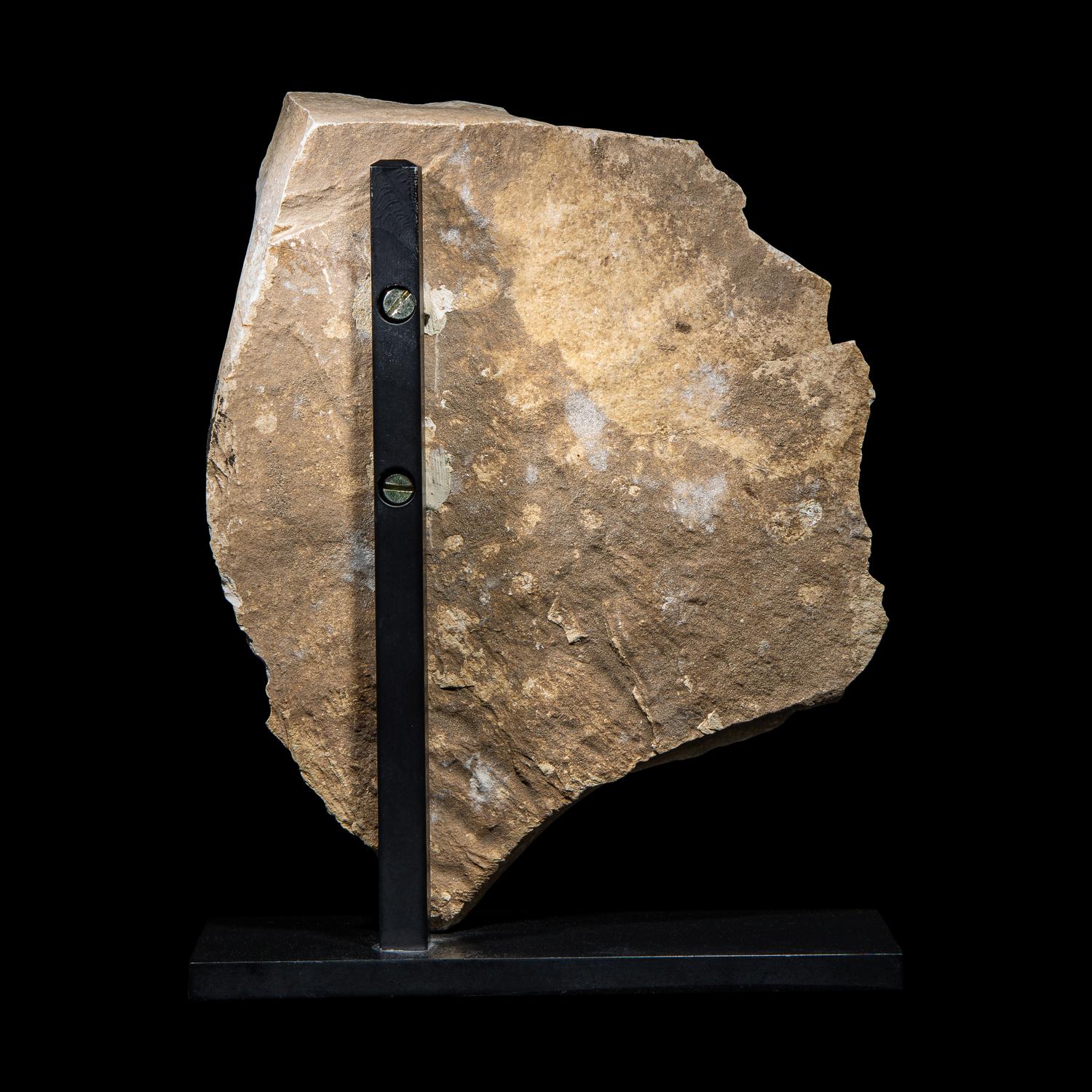 An Egyptian Painted Limestone Relief Fragment