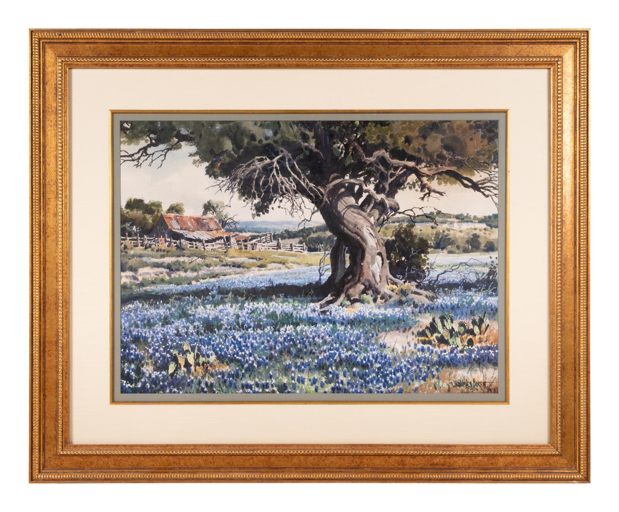 Blue Bonnets of Bosque County