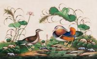 A Set of Twelve Chinese Export Watercolor and Pith Paintings of Exotic Birds