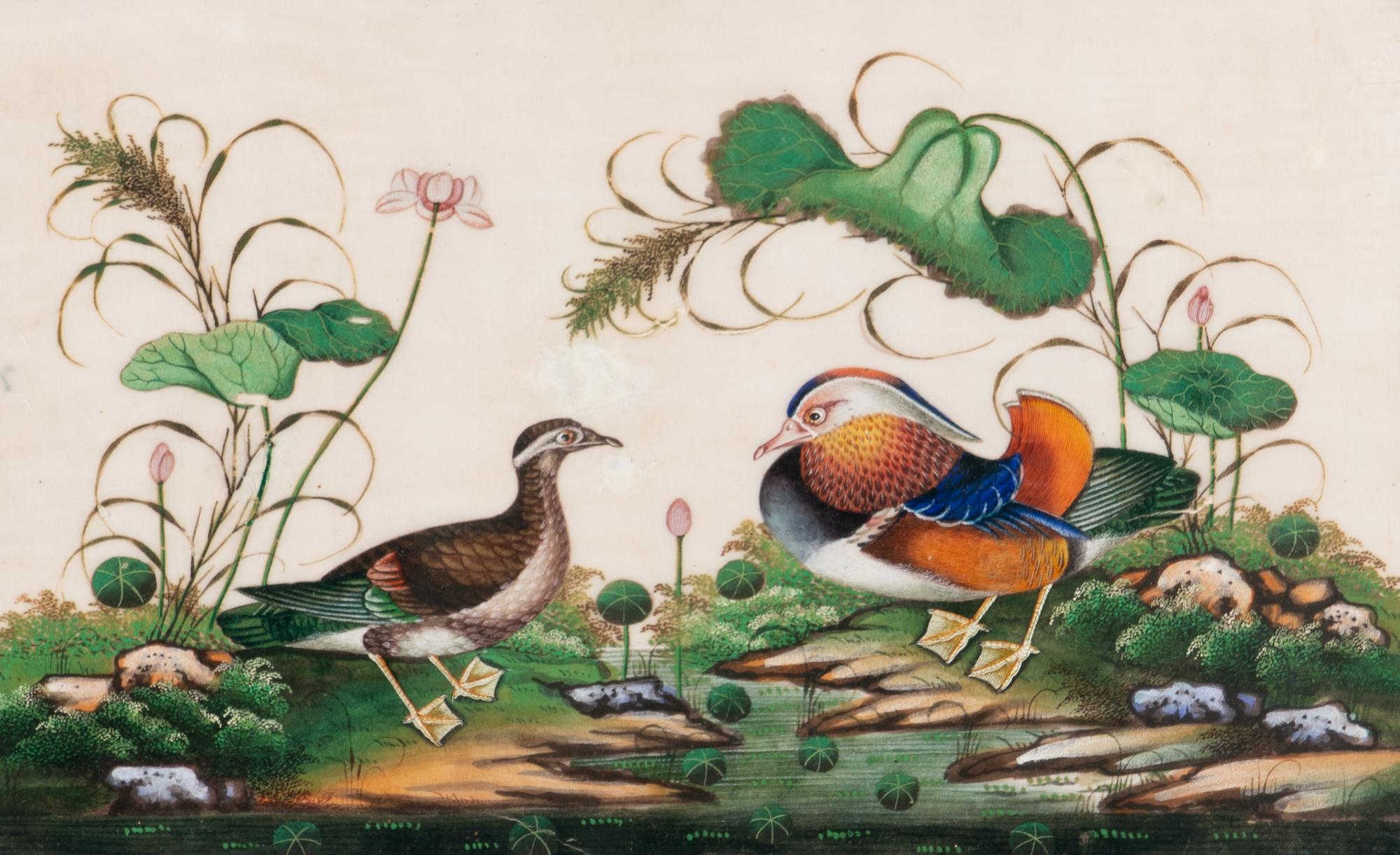 A Set of Twelve Chinese Export Watercolor and Pith Paintings of Exotic Birds