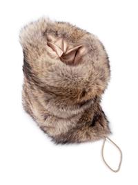 Four Ralph Rucci Fur Pieces: One Coyote Muff, Two Chinchilla Scarves, and One Mink Wrap