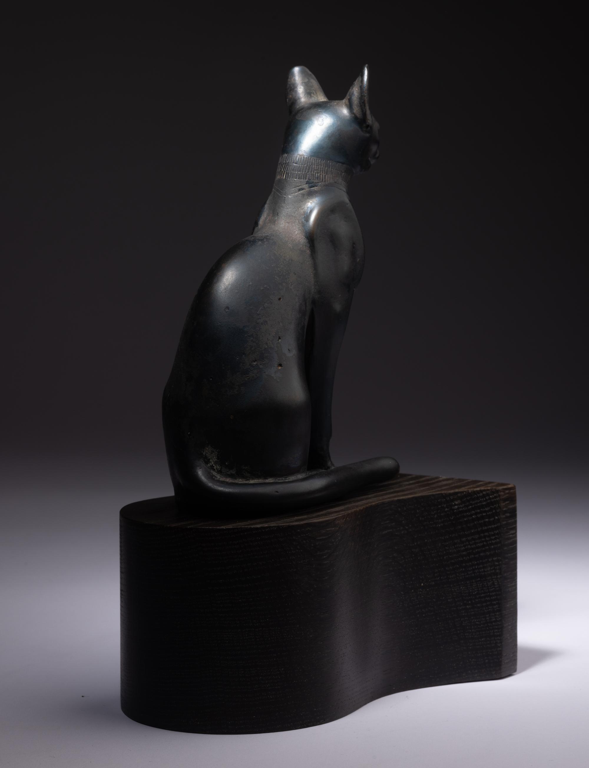An Egyptian Bronze Cat