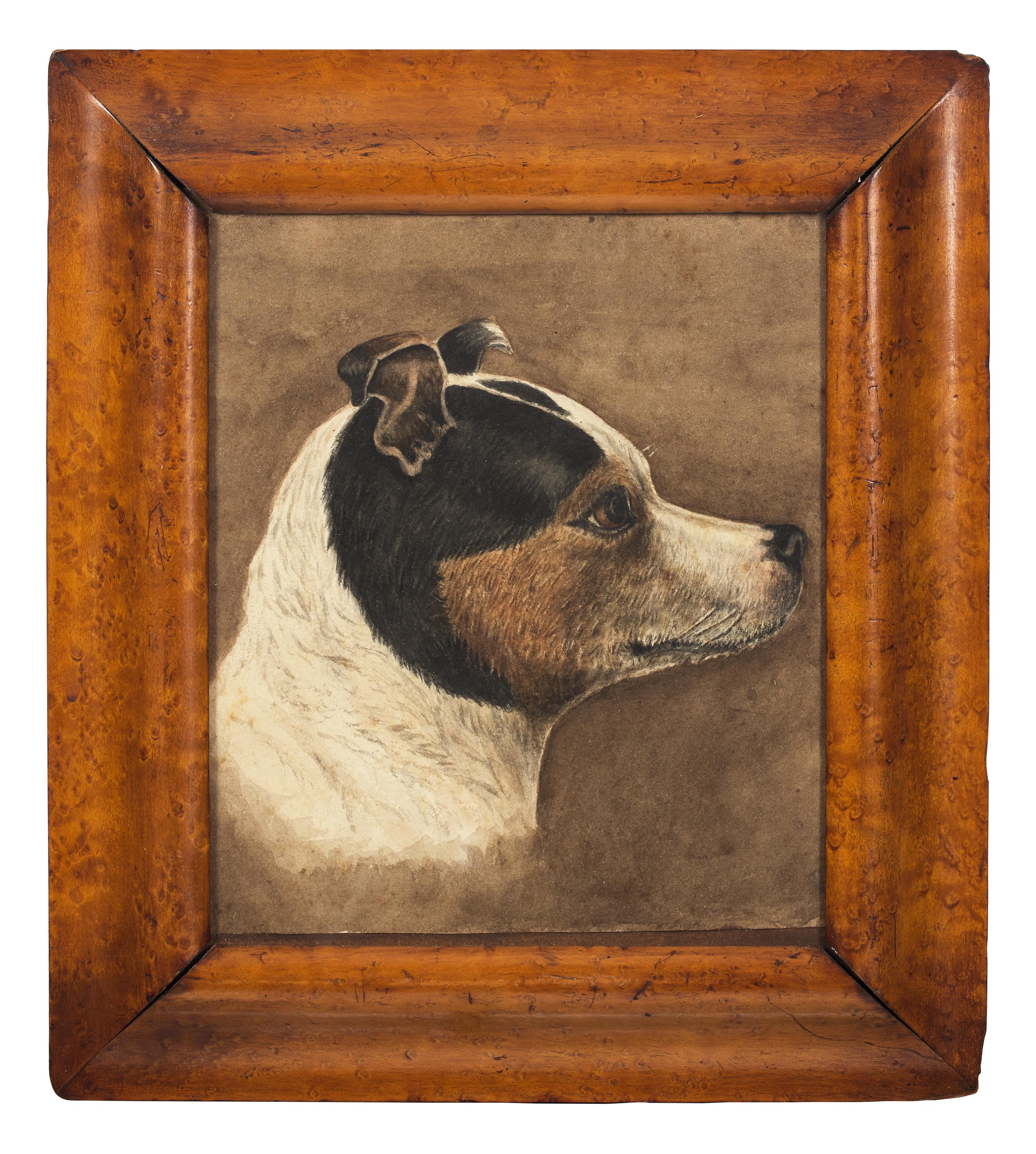 Anglo-American School 19th Century, A Pastel Drawing of a Jack Russell