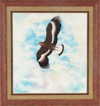 untitled, Eagle