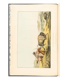 McKenney, Thomas L. (1785-1859) and James Hall (1793-1868). History of the Indian Tribes of North America . Philadelphia: [Edward C. Biddle, 1836]; Frederick W. Greenough, 1838; Daniel Rice and James G. Clark, 1844.