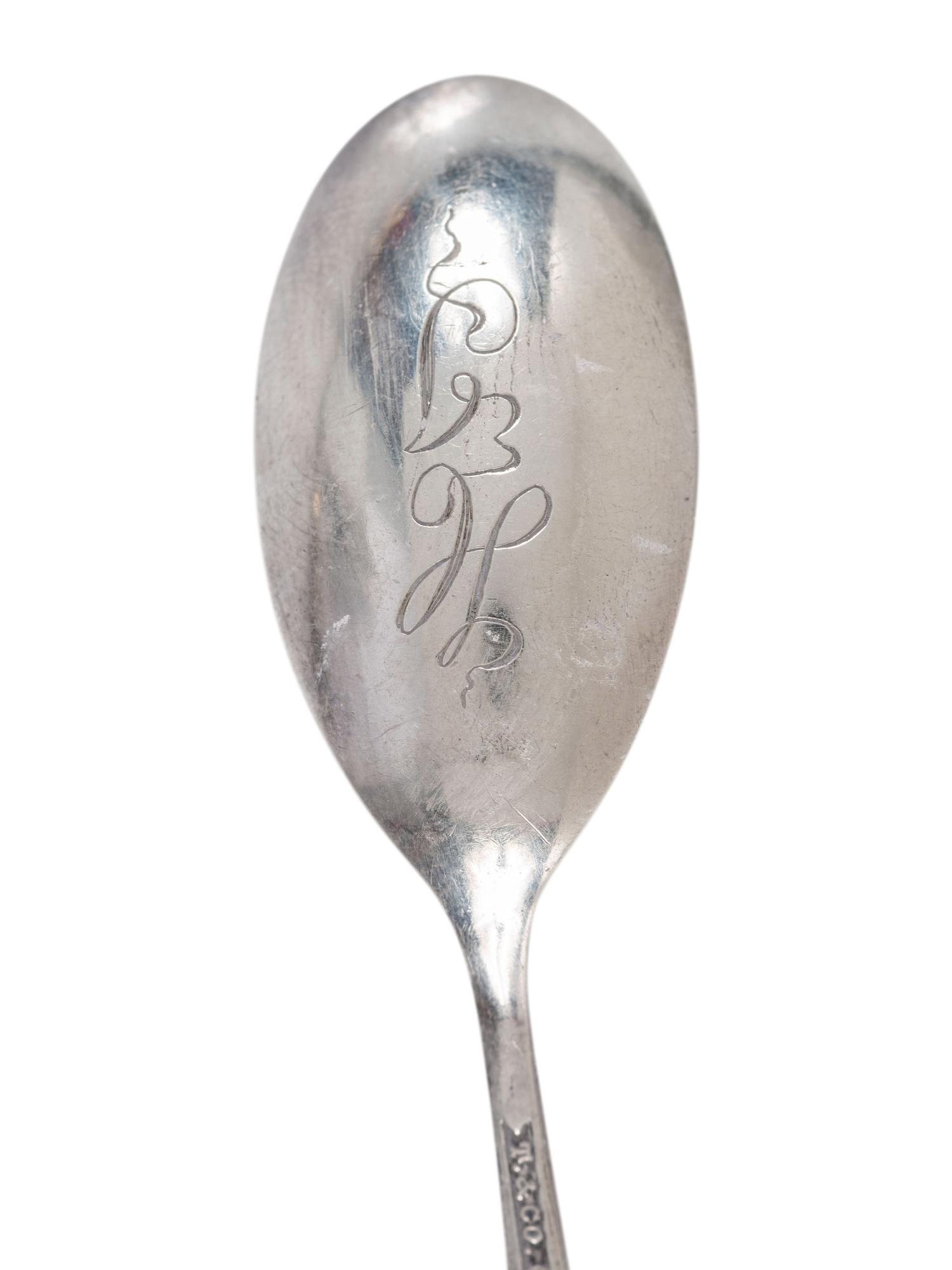 Twenty Silver and Enamel Souvenir Spoons