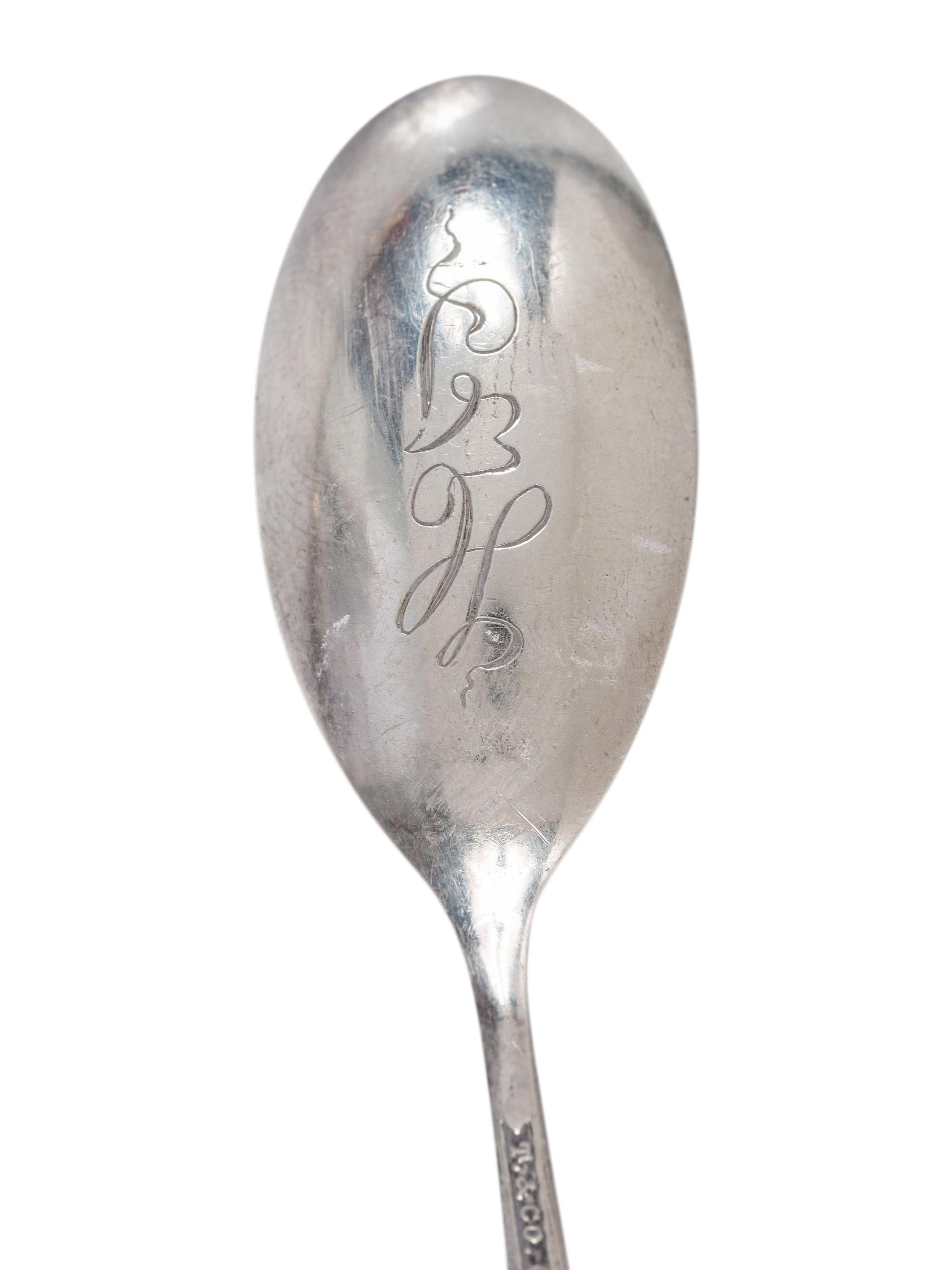 Twenty Silver and Enamel Souvenir Spoons