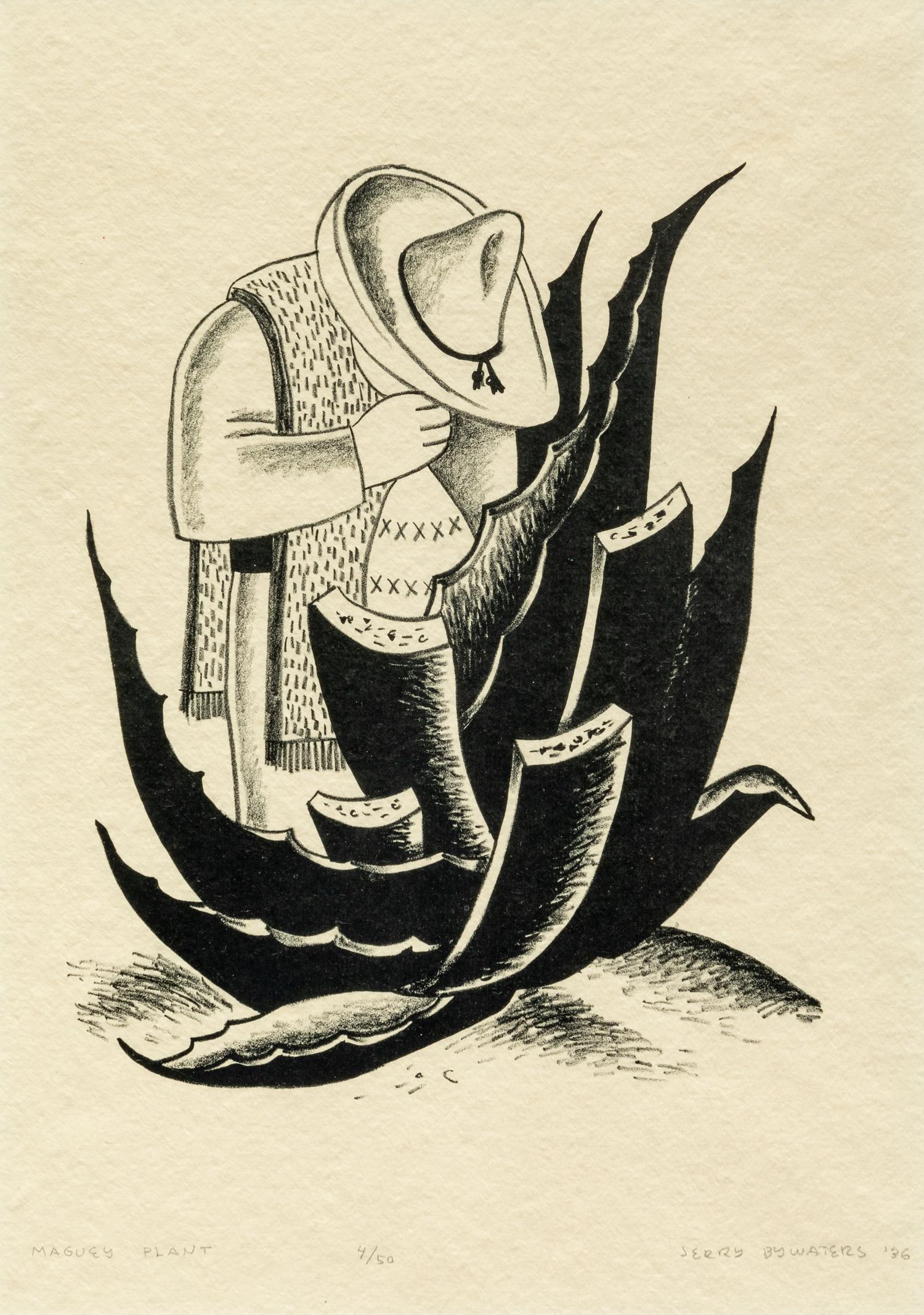 Maguey Plant , edition 4/50