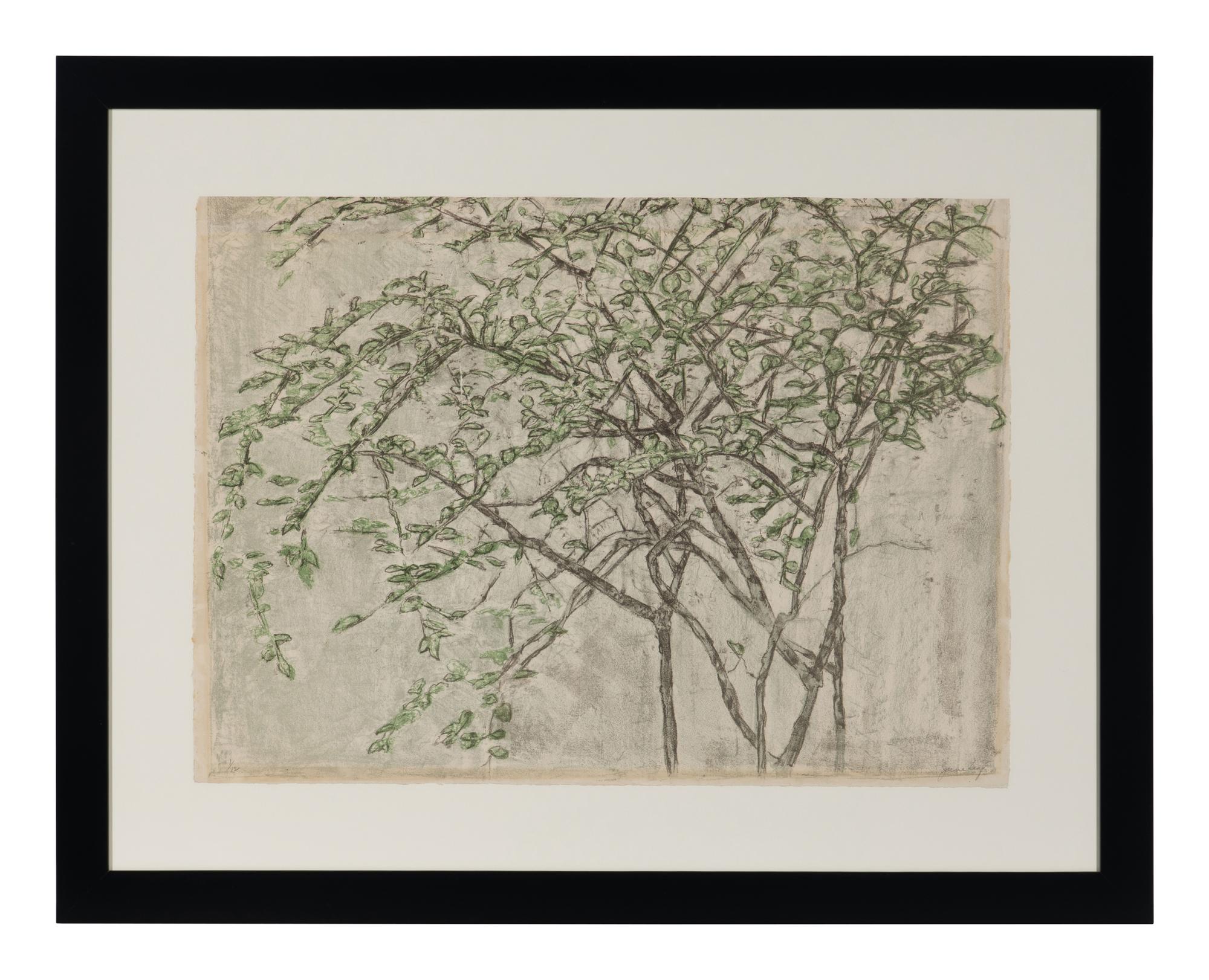 Tree Branches