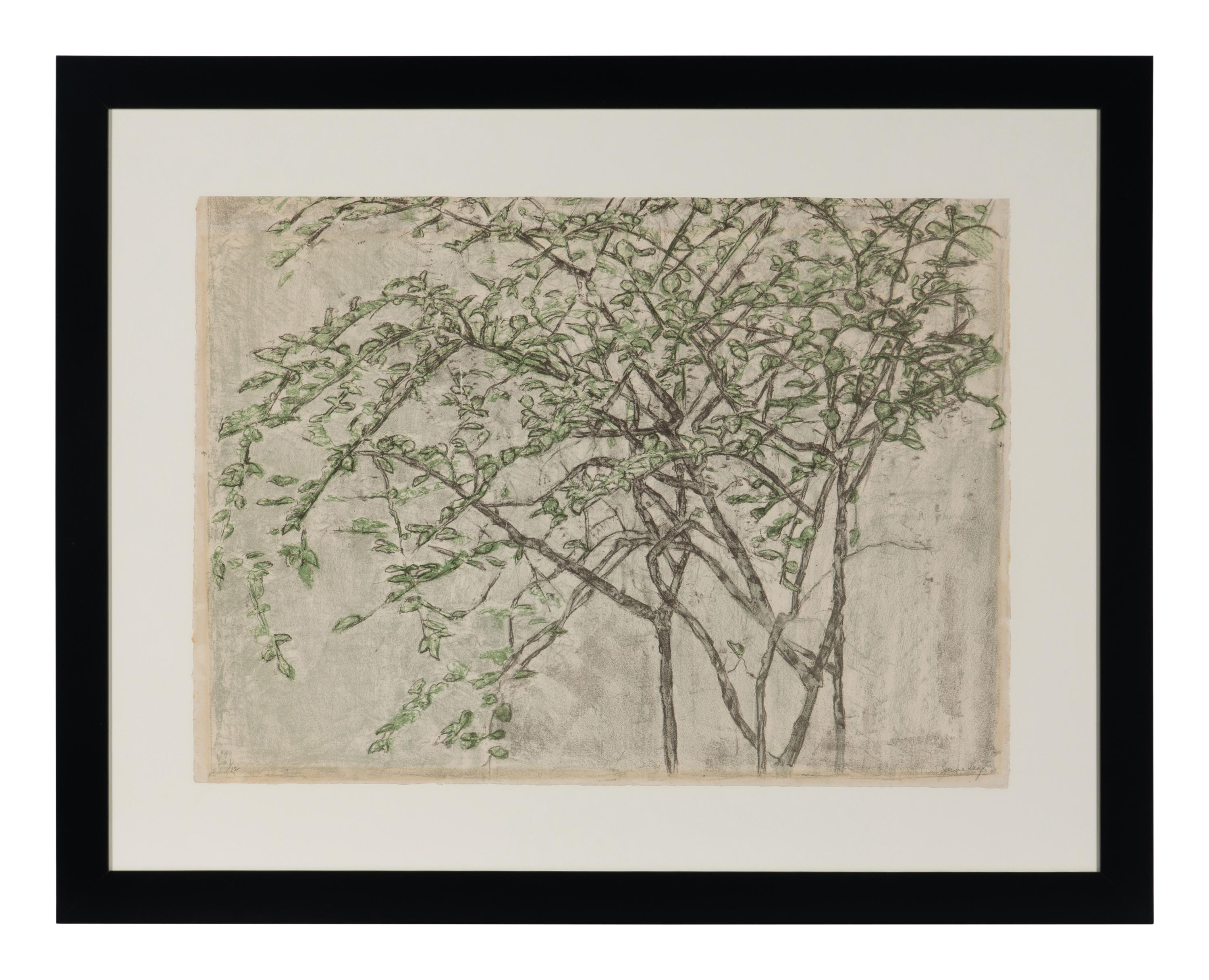 Tree Branches